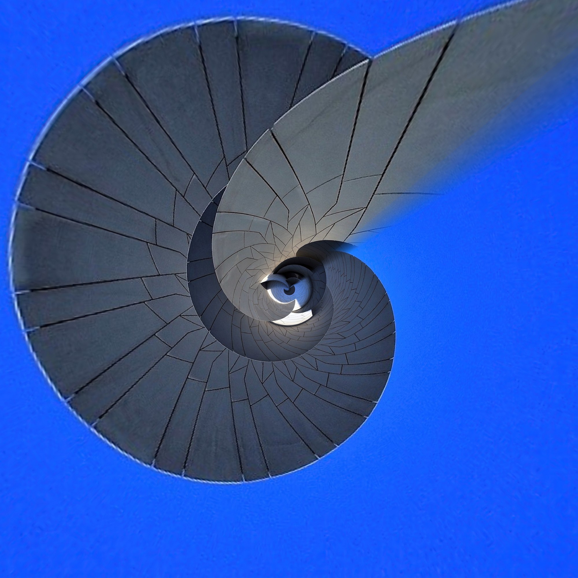 Nautilus
