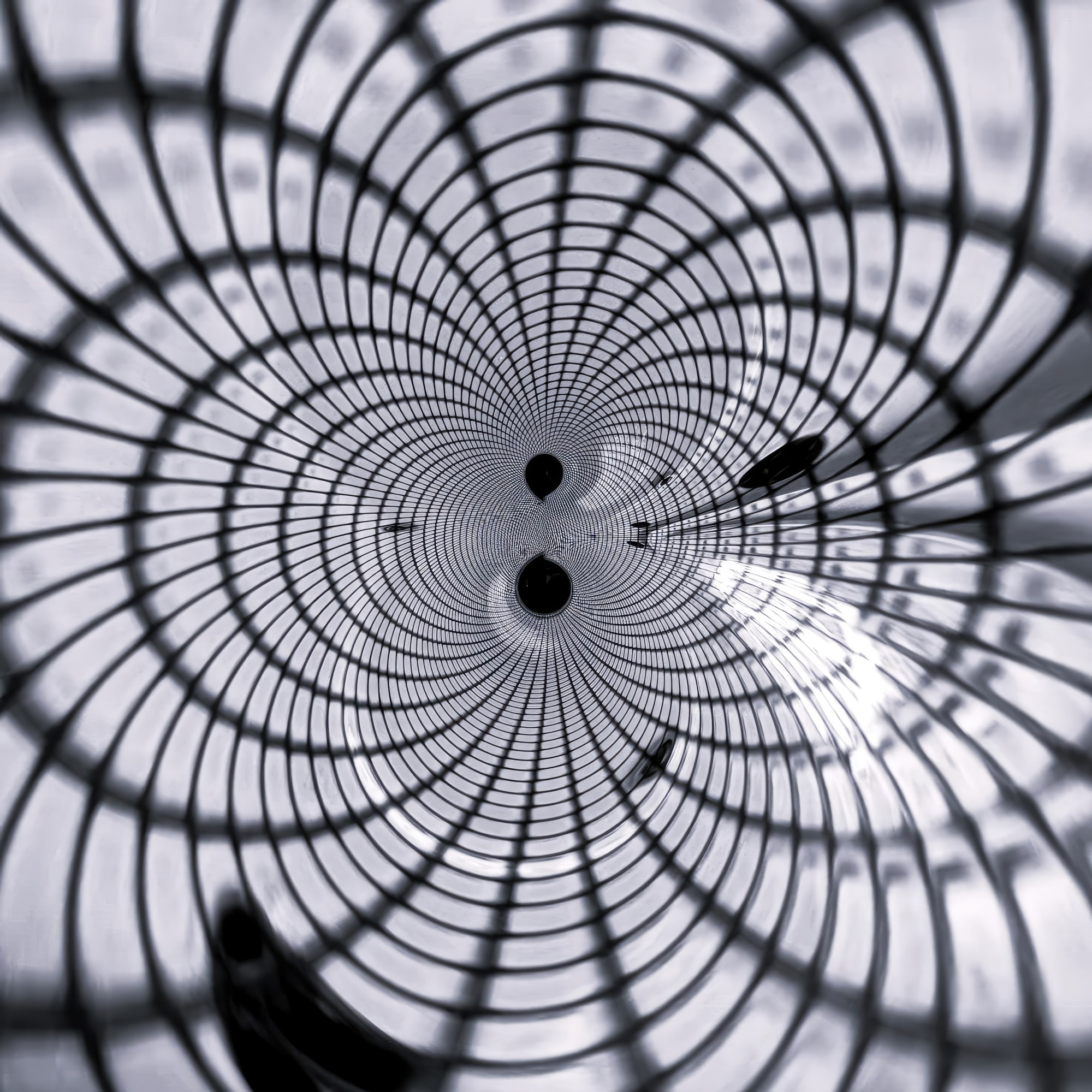 Shadows and Light (B&W)