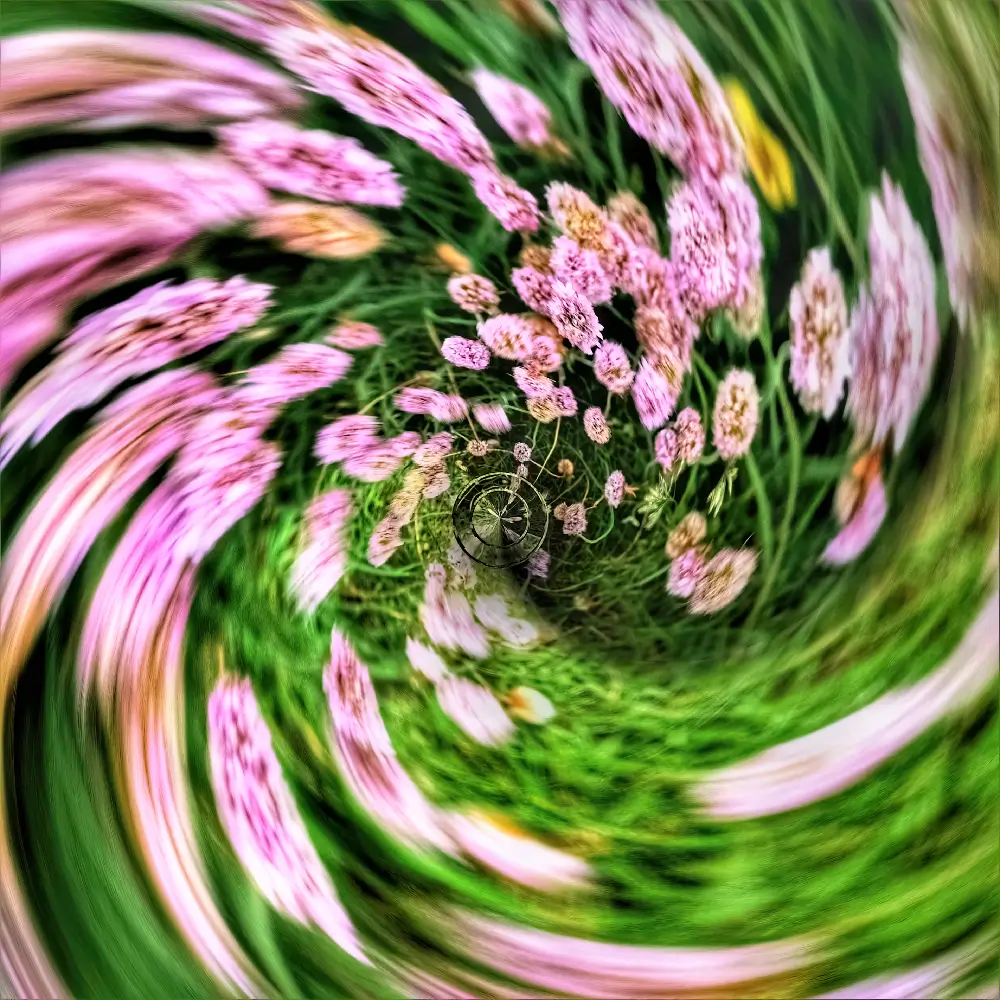 A blurry image of flowers in the center.