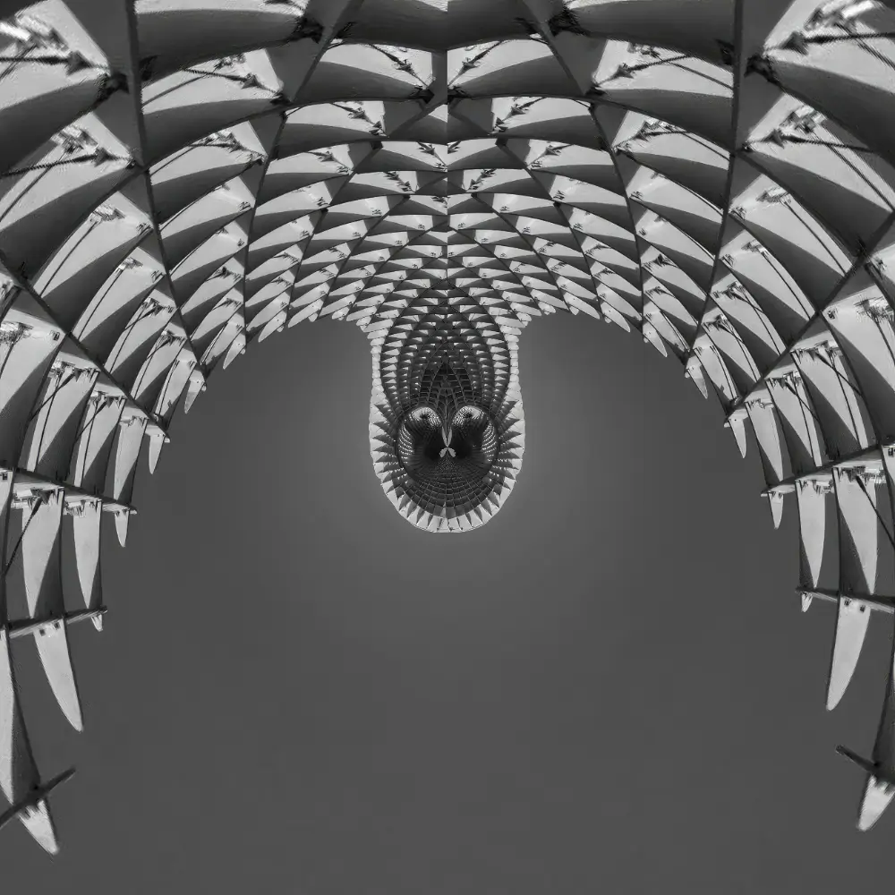 A black and white photo of an abstract image.