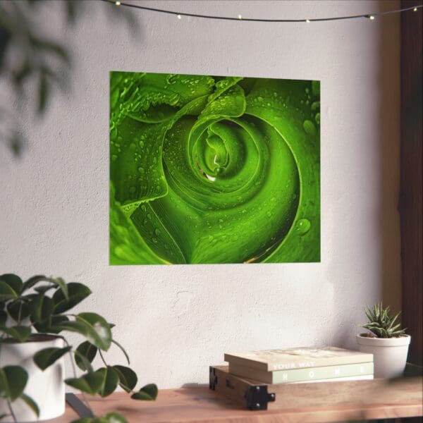 A green rose is shown in this picture.