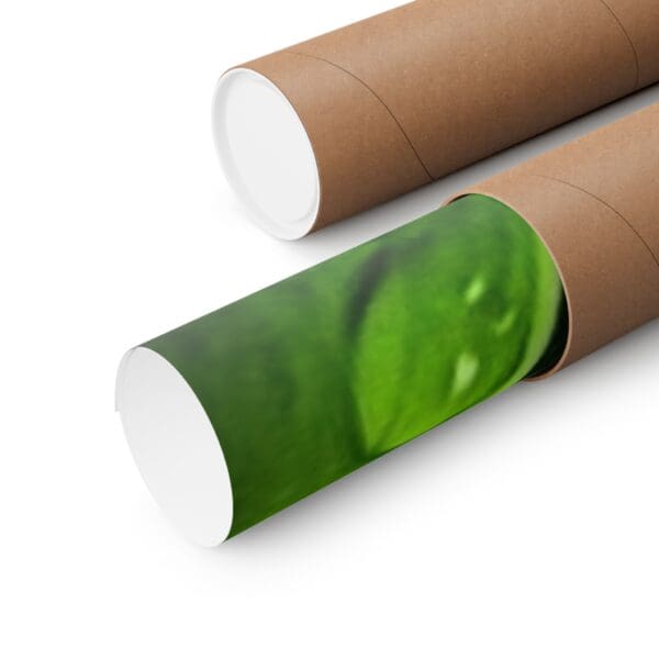 A close up of two tubes with green paper on them