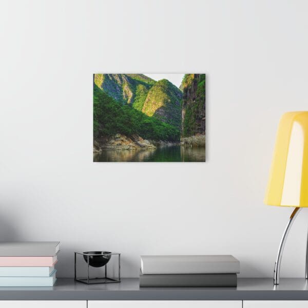 A painting of mountains and water on the wall