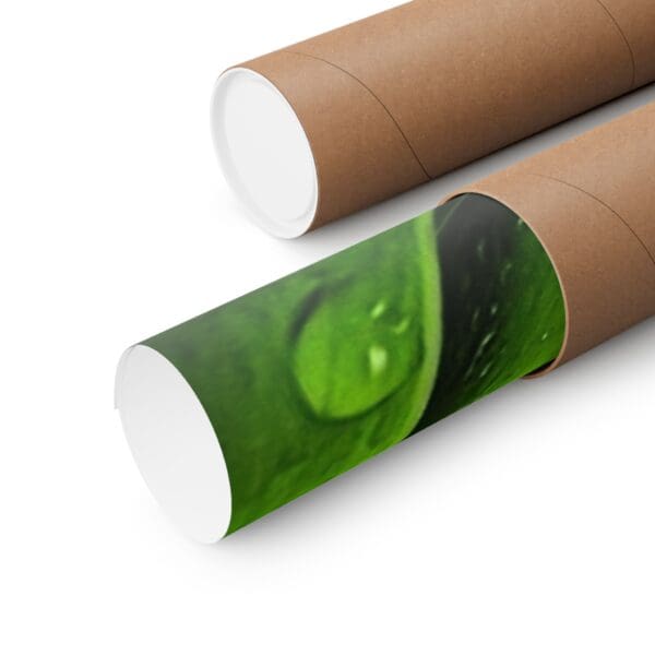 A close up of two tubes with a picture on them