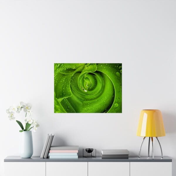 A green rose with water droplets on it.