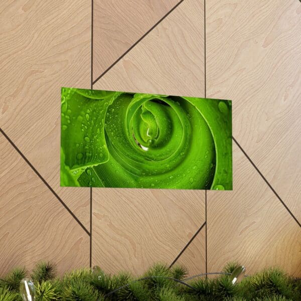 A green rose is shown on the wall.