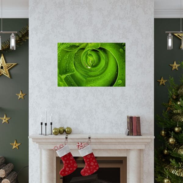 A fireplace with christmas decorations and a green rose.