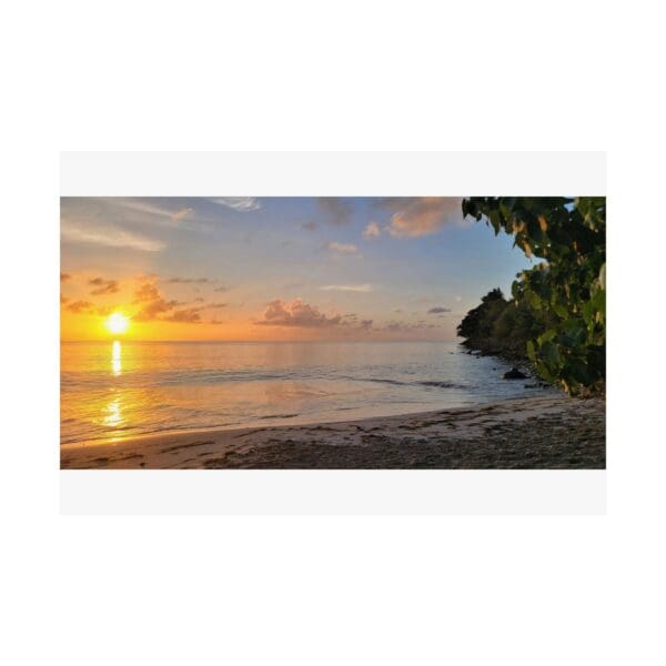 A sunset over the ocean with trees in front of it.