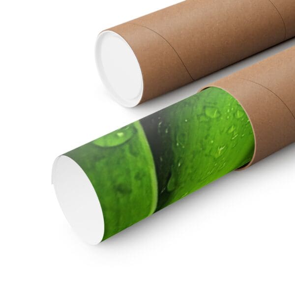 A close up of two tubes with green leaves on them