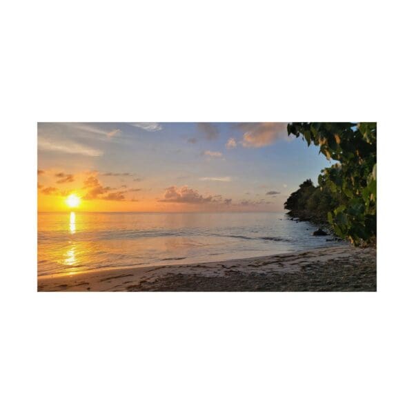 A sunset over the ocean with trees in front of it.