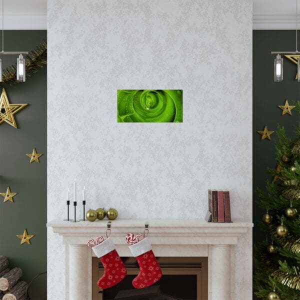 A fireplace with christmas stockings and a green rose on the wall.