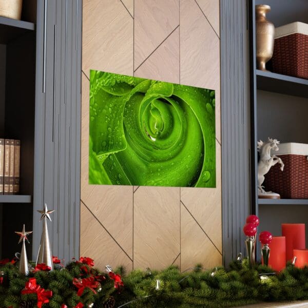 A green rose is shown on the wall.