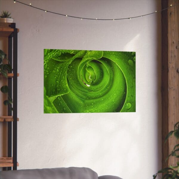 A green rose is shown on the wall.