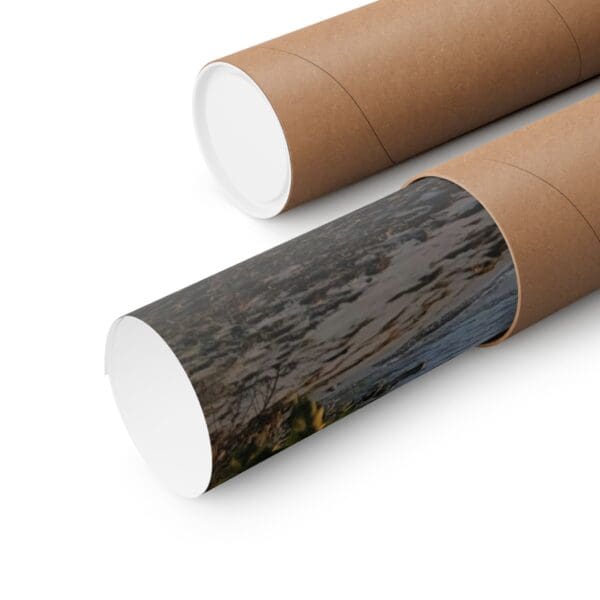 A close up of two cardboard tubes with trees on them