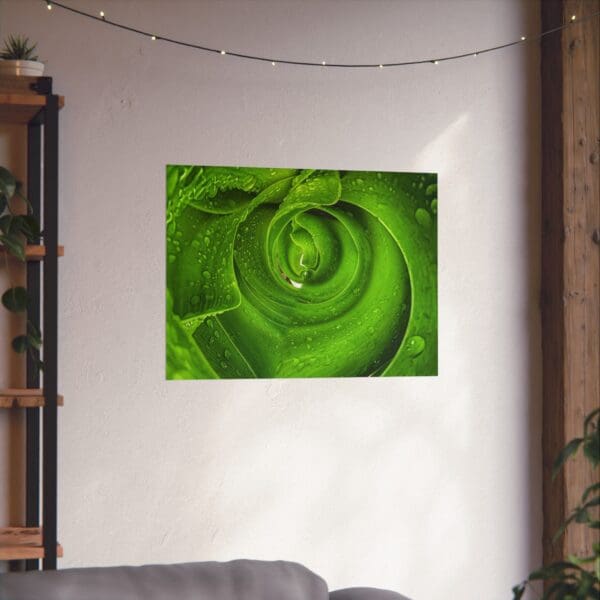 A green rose is shown in this picture.