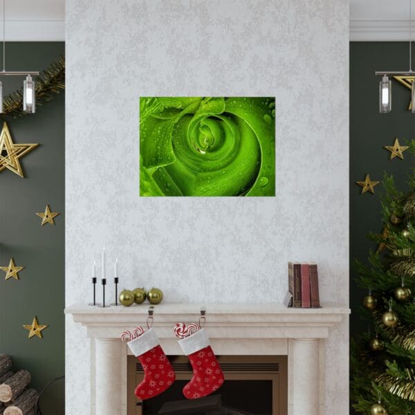 A fireplace with christmas decorations and a green flower.